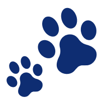 footer shape